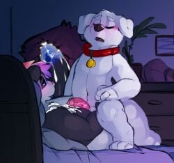 anal anal_sex animal_genitalia anthro bed bedroom_eyes blue_genitals bodily_fluids brian_griffin canid canine canis collar cowgirl_position cum cum_inside cum_on_chest domestic_dog duo ejaculation family_guy from_front_position furniture genital_fluids genitals giant_panda hi_res humanoid_genitalia humanoid_penis male male/male male_only mammal narrowed_eyes on_bottom on_top orgasm orgasm_face penetration penis seductive sex shockstk tongue tongue_out ursid