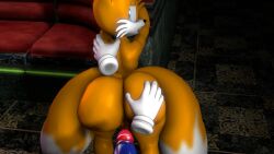 3d anthro big_ass big_butt femboy fox hand_on_ass hedgehog huge_ass male male/male male_only miles_prower miles_tails_prower penis_out praisebooty sonic_(series) sonic_the_hedgehog tails tails_the_fox thick_ass thick_thighs