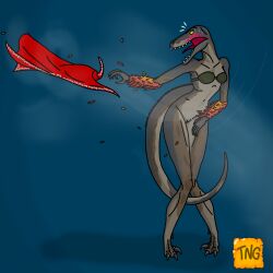 anthro dinosaur feathered_dinosaur feathers female hybrid purrolyth reptile scalie solo the_nameless_guy