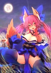 tamamo no mae (fate) from fate (series) by wisespeak