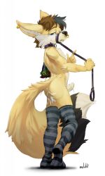 anthro ass balls biped black_body black_eyebrows black_fur black_leash black_nose black_tail blue_eyes brown_hair cheek_tuft chest_tuft clothing collar ear_piercing ear_ring elbow_tufts erection eyebrows facial_piercing facial_tuft fluffy fluffy_tail footwear fur genitals glistening glistening_eyes glistening_nose grey_hair hair half-closed_eyes hi_res leash legwear lip_piercing looking_at_viewer male messy_hair multicolored_hair narrowed_eyes nose_piercing nose_ring oselotti pattern_clothing pattern_footwear pattern_legwear pattern_socks penis piercing plantigrade septum_piercing shadow side_view signature simple_background socks solo standing striped_clothing striped_footwear striped_socks stripes stud_piercing tuft two_tone_hair white_background white_balls white_body white_fur white_inner_ear white_penis white_tail yellow_body yellow_ears yellow_fur yellow_tail