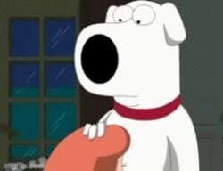 animated blowjob brian_griffin canine dog family_guy famous-toons-facial interspecies lois_griffin milf offscreen_female zoophilia