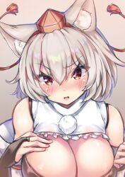 momiji_inubashiri onomiya tagme touhou wolf_girl