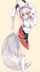 momiji_inubashiri onomiya tagme touhou wolf_girl