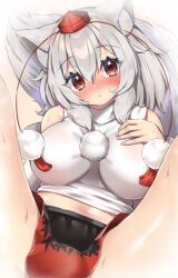 momiji_inubashiri onomiya tagme touhou wolf_girl