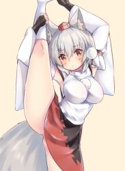 momiji_inubashiri onomiya tagme touhou wolf_girl