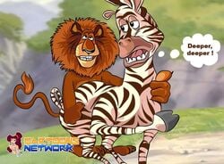 alakay_alex cartoons_network cuntboy dreamworks furry furry_only intersex interspecies madagascar_(film) madagascar_(series) male male_only marty_the_zebra