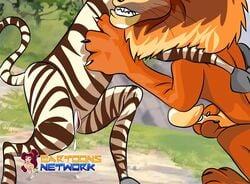 alakay_alex cartoons_network cuntboy dreamworks furry furry_only intersex madagascar_(film) madagascar_(series) male_only marty_the_zebra pussy