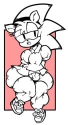 amy_rose arms_behind_back classic_amy_rose female flat_chest flat_chested furry hairband hypercawk sega shirt shoes skirt sonic_(series) thick_thighs thighhighs wide_hips