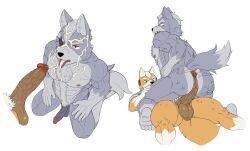 2022 abs absurd_res anthro anthro_on_anthro ass balls biceps big_muscles big_penis bodily_fluids canid canine canis cum cum_in_mouth cum_inside cum_on_chest cum_on_face cum_on_tongue duo erection eye_patch eyebrows eyewear fox fox_mccloud fur gay genital_fluids genitals hair headgear hi_res hot_dogging humanoid_genitalia humanoid_penis inkgoat kneeling lying male male/male male_only mammal muscular muscular_anthro muscular_male nintendo nipples nude on_back pecs penis simple_background star_fox sweat tongue tongue_out tuft vein veiny_penis video_games white_background wolf wolf_o'donnell