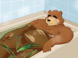 2022 anthro balls band-aid bandage bathing bathtub belly big_belly blush brown_body brown_fur censored convenient_censorship fur genitals hi_res humanoid_hands kemono lifewonders male mammal moobs navel overweight overweight_male solo tokyo_afterschool_summoners ursid video_games volos water yaki_atsuage