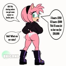 amy rose from sonic (series)