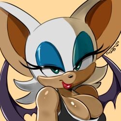 rouge the bat from sonic (series) by colorshun