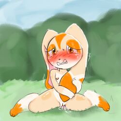 cream the rabbit from sonic (series) by tabbyscars