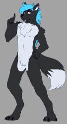 anthro barbie_doll_anatomy black_fur furry gay