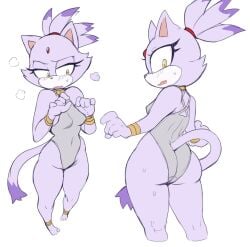 blaze the cat from sega by lightsource