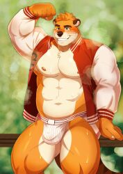 anthro bulge clothed clothing daisukebear detailed_bulge felid hi_res male mammal muscular pantherine solo tiger