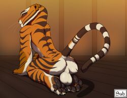 anthro anus ass backsack balls dreamworks felid futa_sans_pussy futanari genitals gynomorph hi_res intersex kung_fu_panda mammal master_tigress nude pantherine presenting presenting_hindquarters sabrotiger sitting_on_soles solo tiger