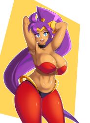 1girls armpits belly_dancer belly_dancer_outfit breasts cleavage dark-skinned_female dark_skin female female_only genie harem_girl harem_outfit harem_pants huge_breasts linkxs purple_hair sexy_armpits shantae shantae_(character) smooth_skin solo sweat thighs voluptuous wayforward