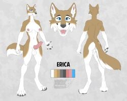 1futa animal_genitalia animal_penis anthro ass blue_eyes breasts canid canine canine_penis canis erection erica_(stormwolff) futanari genitals gynomorph intersex mammal model_sheet penis sheath smile smiling_at_viewer solo tongue vallhund wolf