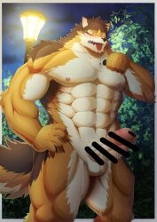 2022 abs absurd_res anthro balls barrel_(live-a-hero) blush border breath brown_body brown_fur canid canine canis censored claws clothed clothing cute_fangs digital_drawing_(artwork) digital_media_(artwork) erection exposed finger_claws fur genitals hi_res homohomofever humanoid_genitalia humanoid_penis lamp lifewonders live-a-hero looking_pleasured male male_only mammal multicolored_body multicolored_fur muscular muscular_anthro muscular_male nipples open_mouth orange_body orange_eyes orange_fur outside panting pawpads pecs penis plant presenting presenting_penis pubes public public_exposure raised_clothing shirt solo standing street_lamp tan_body tan_fur tank_top tongue tongue_out topwear tree video_games white_border wolf