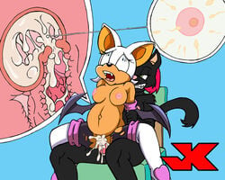 1girls breasts clothing cum cum_in_pussy cum_in_uterus cum_inflation cum_inside female female_on_top furry green_eyes impregnation inflation jk male open_mouth ovum penetration penis pussy rape rouge_the_bat sonic_(series) sperm_cell spread_legs thighhighs uterus vaginal_penetration wide_eyed x-ray