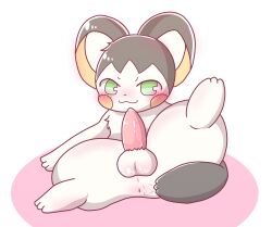 balls burakura_inu emolga genitals hi_res looking_at_viewer male nintendo penis pokémon_(species) pokemon simple_background solo video_games white_background white_body