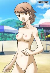 atlus beach casual casual_nudity female human light_brown_eyes light_brown_hair nonsexual_nudity nudefilterguy nudist outdoors pale_skin persona persona_3 short_hair tagme white_skin yukari_takeba