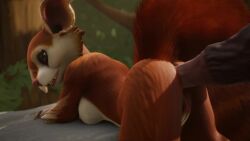 16:9 3d 3d_(artwork) anal anal_penetration animal_genitalia animal_penis animated ano_delta anthro big_ears big_penis big_tail blender_(software) blue_eyes breasts brown_body brown_fur butt digital_media_(artwork) dota dota_2 duo equine_penis feet female forest forest_background fur genitals hoodwink_(dota) male male/female mammal nature nature_background no_sound outside penetration penis pivoted_ears plant pussy raised_tail red_nose rodent sciurid short_playtime tagme tail_tuft tree tree_squirrel tuft video video_games white_body widescreen wood