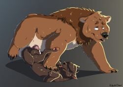 animal_genitalia balls big_balls big_dom_small_sub bodily_fluids brown_bear brown_body brown_fur canid canine canis chubby_feral cum cum_in_pussy cum_inside dominant erection feral feral_on_feral from_front_position fur genital_fluids genitals grizzly_bear hair heavensdoor interspecies kuruk_(character) lying mammal mane mane_hair missionary_position on_back pawpads paws penetration penis pink_pawpads rosie_(heavensdoor) sex sheath size_difference slightly_chubby ursid ursine vaginal_penetration vaginal_penetration wolf