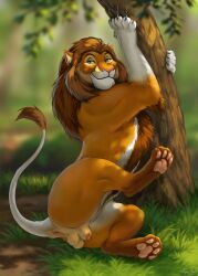 big_boy felid feline feral forest hi_res lion mafundi male mammal pantherine plant reallynxgirl solo suggestive suggestive_look suggestive_pose tail_anus tree