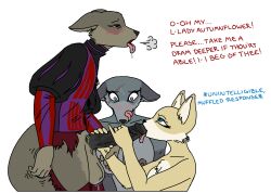 1boy 2girls anthro autumnflower_(game) bailey_(autumnflower) balls begging big_balls big_breasts big_penis blowjob blue_eyes blush bodily_fluids breast_size_difference breasts canid canine canis clothing dripping fancy_clothing female fennec fox genitals group huge_cock kyron_farspire legwear licking licking_lips long_penis madmanransom male male/female mammal mercia_autumnflower oral penetration penile penis penis_lick saliva saliva_drip saliva_on_balls saliva_on_penis saliva_on_tongue sex shallow_penetration tights tongue tongue_out topwear torn_clothing trio vest wolf