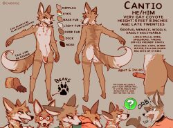 anthro artist_name ass balls barefoot brown_pawpads canid canine canis cantio_(lawyerdog) character_name clothed clothing coyote digital_media_(artwork) english_text feet flaccid genitals glans grey_background hi_res hindpaw humanoid_genitalia humanoid_penis lawyerdog male mammal model_sheet nipples nude open_mouth pawpads paws penis pink_penis simple_background solo text