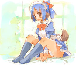 animal_ear blue_hair brown_eyes dog_ear dog_tail female maid okome_rice original tail