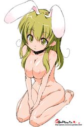 1girls animal_ear breast_squeeze breasts bunny_ear female female_only genom green_eyes green_hair large_breasts nude onija_taro onija_tarou sketch solo