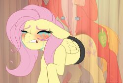 amaichix big_macintosh_(mlp) earth_pony equid equine female female_penetrated feral feral_on_feral feral_penetrated feral_penetrating feral_penetrating_feral fluttershy_(mlp) forced friendship_is_magic fur hair hasbro horse male male/female male_penetrating male_penetrating_female mammal my_little_pony orange_body orange_fur pegasus penetration pink_hair pony rape through_wall wings