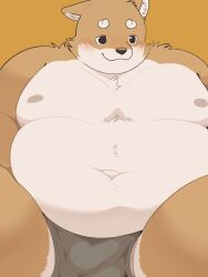 2022 anthro balls_outline belly big_belly blush canid canine canis domestic_dog genital_outline haoming hi_res kemono male mammal moobs nipples obese obese_male overweight overweight_male solo