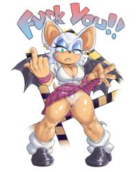 rouge the bat from sega by gage (artist)