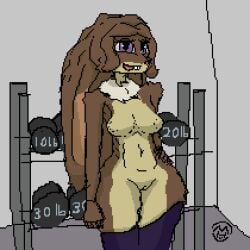 anthro athletic breasts buckteeth clothing covered_nipples digital_media_(artwork) female fluffy genitals gym hand_on_hip happy innie_pussy lagomorph legwear legwear_only leporid long_ears mammal mariterh mostly_nude pixel_(artwork) public public_nudity pussy rabbit smile solo stockings stockings_only teeth