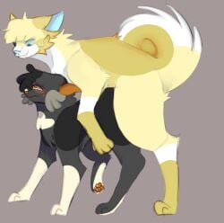 age_difference amber_eyes amber_sclera big_dom_small_sub black_body black_fur blue_eyes blue_sclera bodily_fluids crying curled_tail digital_media_(artwork) domestic_cat dominant duo eyelashes felid feline felis female feral forced fur hi_res looking_at_another looking_at_partner male male/female mammal pain pawpads penetration questionable_consent red_pawpads sex simple_background size_difference smaller_female sweat sweatdrop tail tears tears_of_pain tempestpaw tortoiseshell_cat vaginal_penetration vaginal_penetration warriors_(book_series) white_paws worried_face yellow_body yellow_fur yellow_paws