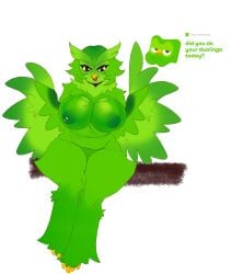 2024 absurd_res anthro areola avian beak belly big_breasts bird breasts digital_drawing_(artwork) digital_media_(artwork) duo_(duolingo) duolingo english_text eyelashes feathers female front_view full-length_portrait gatoradeew genitals green_areola green_body green_feathers green_nipples green_text hi_res mascot navel nipple_piercing nipples non-mammal_breasts non-mammal_nipples nude nude_anthro nude_female open_mouth open_smile owl piercing portrait pussy sitting smile solo text thick_thighs wings yellow_beak