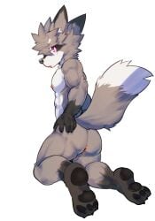 abs anthro anus asleepchef ass balls biceps canid canine fox fur genitals grey_body grey_fur hair hi_res male mammal multicolored_body multicolored_fur muscular muscular_male nipples nude pecs presenting presenting_hindquarters purple_eyes simple_background solo tail two_tone_body two_tone_fur white_background