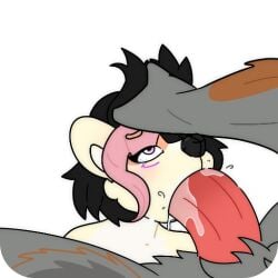alecrim_(character) anthro bodily_fluids canid canine canis cricetid cum cum_in_mouth cum_inside digital_drawing_(artwork) digital_media_(artwork) domestic_cat drinking drinking_cum duo ears_back faceless_character faceless_male felid feline felis fellatio female gagging genital_fluids genitals hair hamster hybrid knot knotted_penis male male/female mammal nude nude_anthro nude_male oral penile penis pivoted_ears rodent sex solo tail wolf
