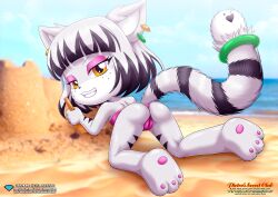 1girls anthro bbmbbf beach cat diamond_level female female_only furry hoku_(little_tails) little_tails looking_at_viewer palcomix pietros_secret_club solo