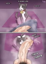 absurd_res ass balls big_butt big_penis bodily_fluids clothing collar comic domestic_cat duo fangs felid feline felis female feral foreskin fur genital_fluids genitals green_eyes hi_res huge_butt huge_cock human human_on_feral humanoid_genitalia humanoid_penis interspecies kiffy_(artist) male male/female mammal meow open_mouth penis precum precum_through_clothing pubes smegma tail teeth vein veiny_penis wet wet_clothing whiskers zoophilia