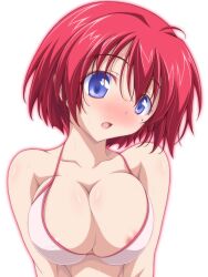 :o areola_slip areolae bangs bikini blue_eyes blush breasts cleavage commentary_request eyebrows_visible_through_hair female female halterneck head_tilt highres hinomoto_hikari kikuchi_tsutomu large_breasts looking_at_viewer mole mole_under_eye open_mouth pink_bikini red_hair short_hair simple_background solo sweat swimsuit tokimeki_memorial tokimeki_memorial_2 upper_body white_background