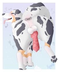 Nova (Parooty) Rule 34 Image