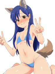 1girls animal_ears bikini blue_bikini blue_hair blush brown_eyes closed_mouth dog_ears dog_tail double_v female female_only flat_chest highres idolmaster idolmaster_(classic) kemonomimi_mode kisaragi_chihaya konboi-eg long_hair looking_at_viewer navel ribs simple_background sitting skinny smile solo swimsuit tail v wariza white_background