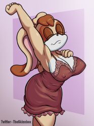 1girls absurd_res anthro big_breasts breasts brown_body brown_fur brown_hair closed_eyes female fully_clothed furry hi_res milf nightgown nipple_bulge rabbit simple_background skinnbox solo sonic_(series) standing stretching text twitter_username vanilla_the_rabbit