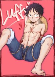 monkey d luffy from one piece